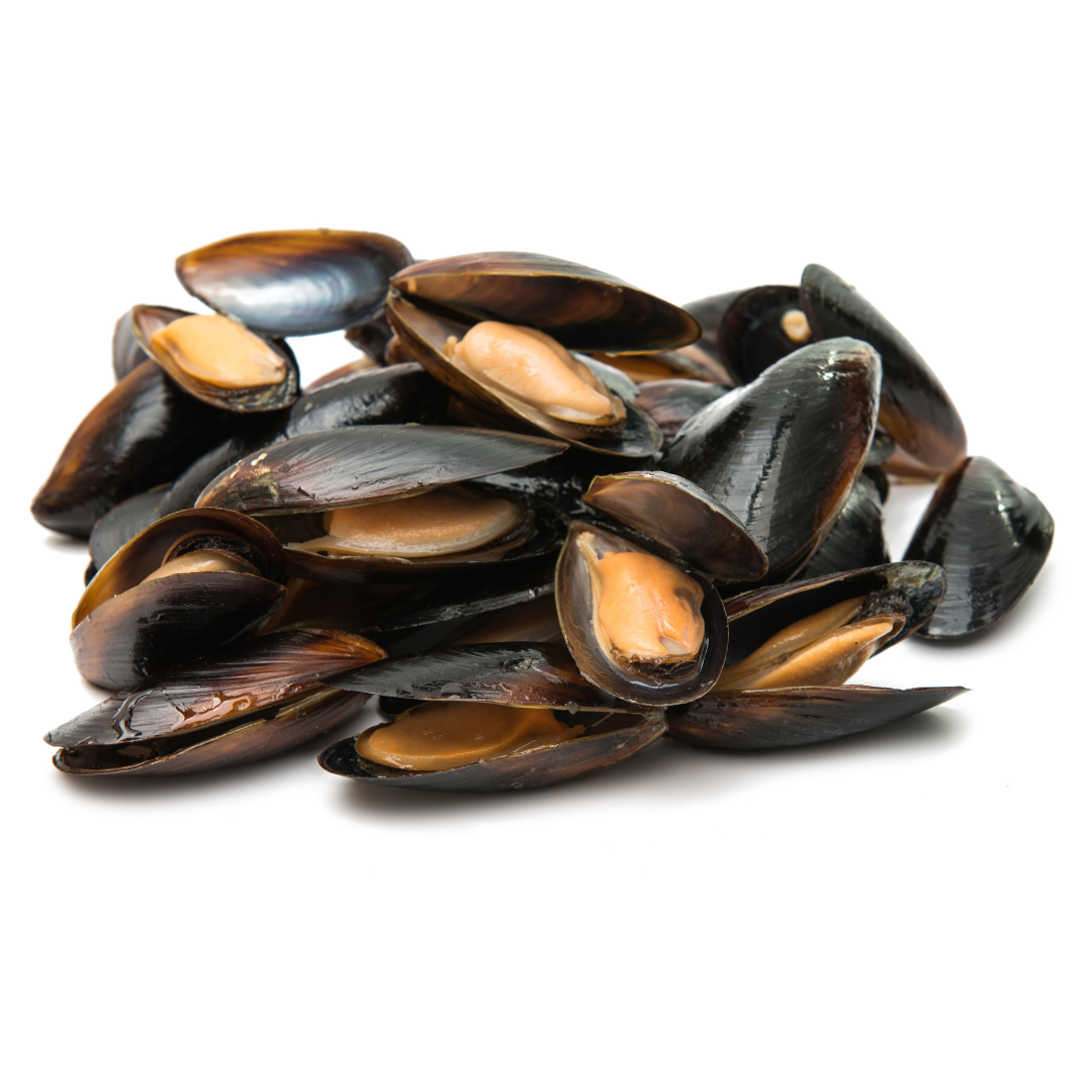 Mejillones Negros Choritos 5 cm 30% Glass